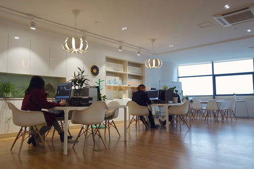 苏州主题装修设计 苏州高层装修设计 苏州装修设计公司 范恩供